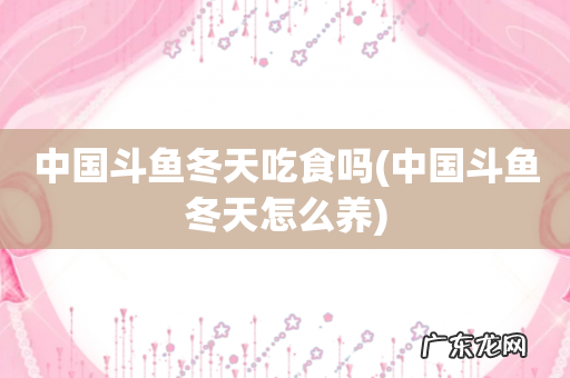 中国斗鱼冬天怎么养 中国斗鱼冬天吃食吗