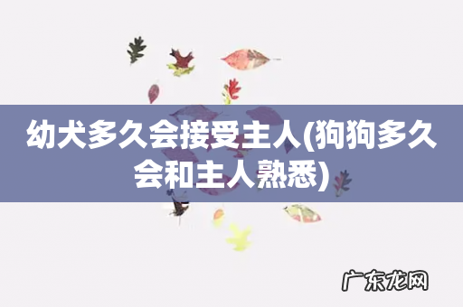 狗狗多久会和主人熟悉 幼犬多久会接受主人
