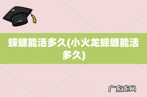 小火龙蝾螈能活多久 蝾螈能活多久