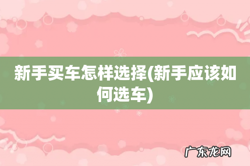 新手应该如何选车 新手买车怎样选择