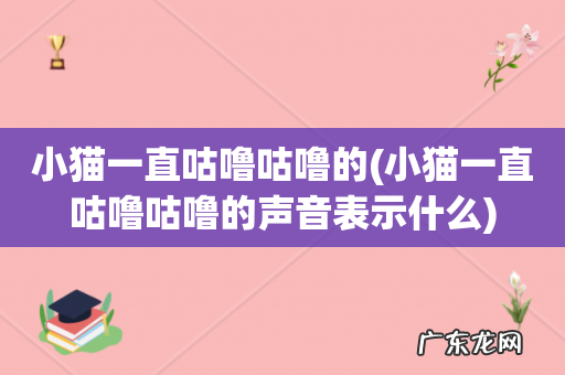 小猫一直咕噜咕噜的声音表示什么 小猫一直咕噜咕噜的