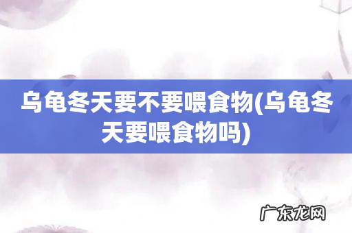 乌龟冬天要喂食物吗 乌龟冬天要不要喂食物