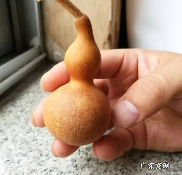 葫芦脏了用水洗 风水葫芦脏了需要擦拭吗