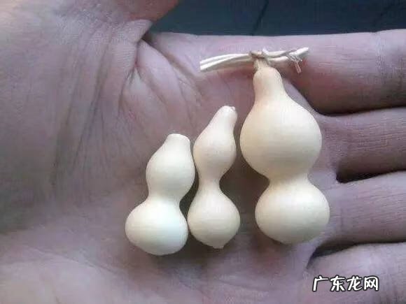 葫芦脏了用水洗 风水葫芦脏了需要擦拭吗