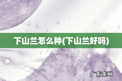 下山兰好吗 下山兰怎么种
