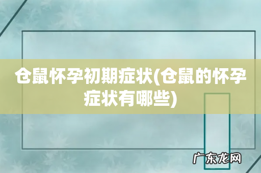 仓鼠的怀孕症状有哪些 仓鼠怀孕初期症状