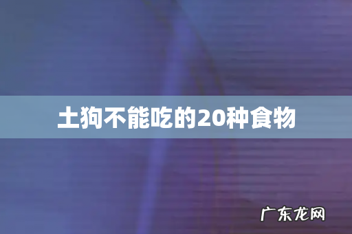 土狗不能吃的20种食物