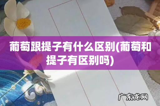 葡萄和提子有区别吗 葡萄跟提子有什么区别