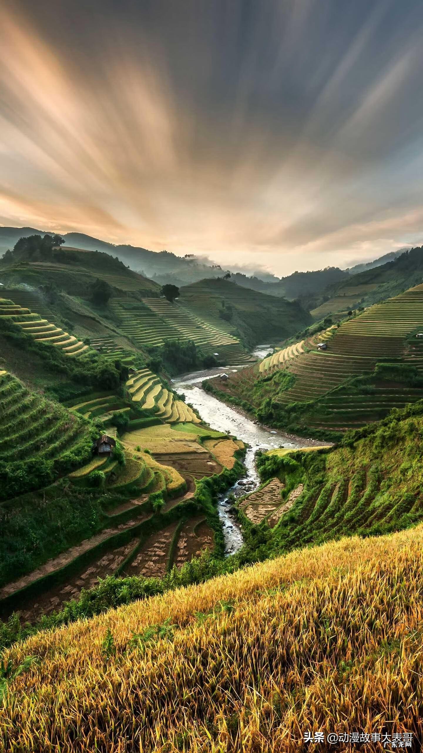 神奇魔法师 奇幻魔法师