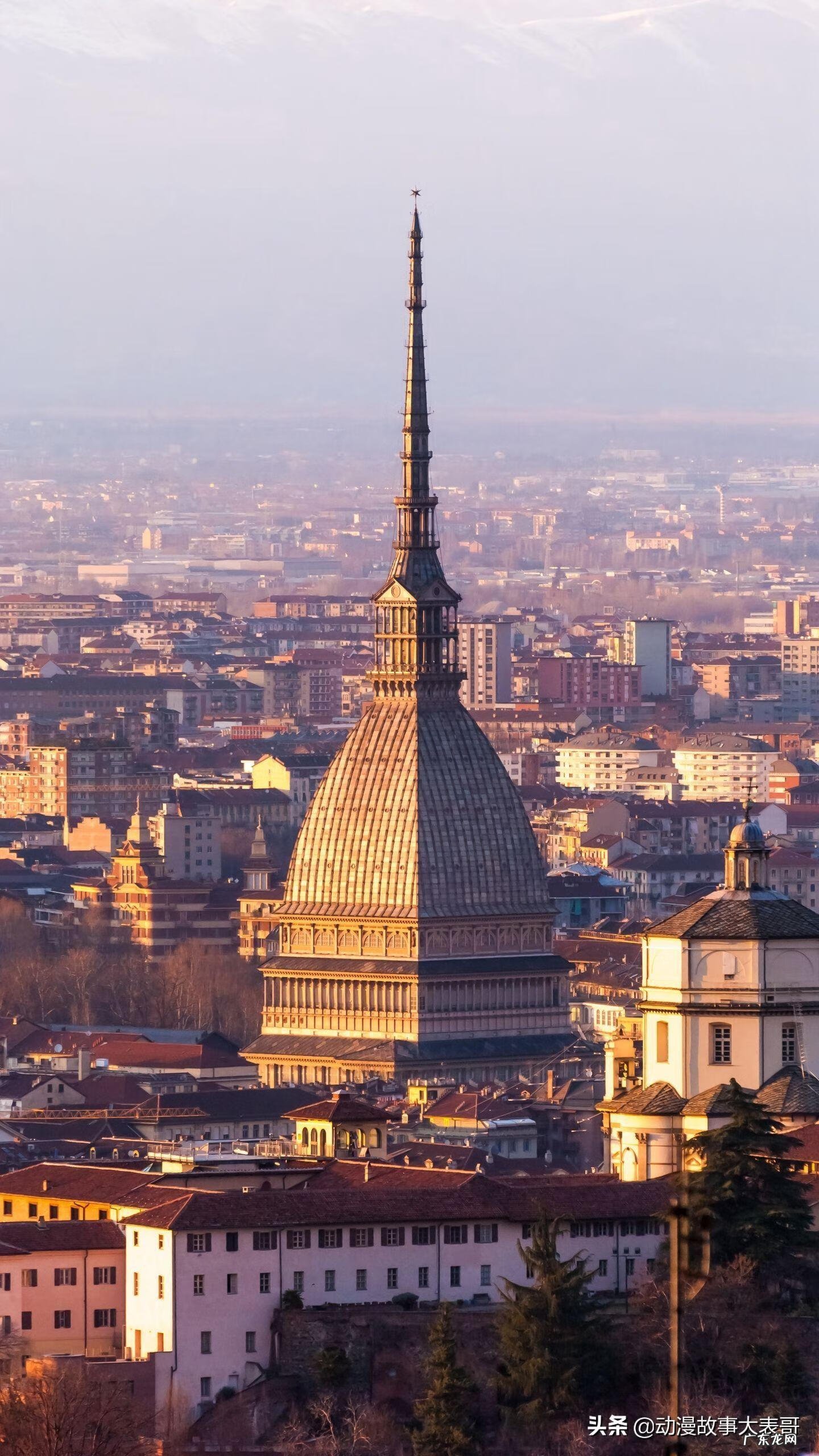 神奇魔法师 奇幻魔法师