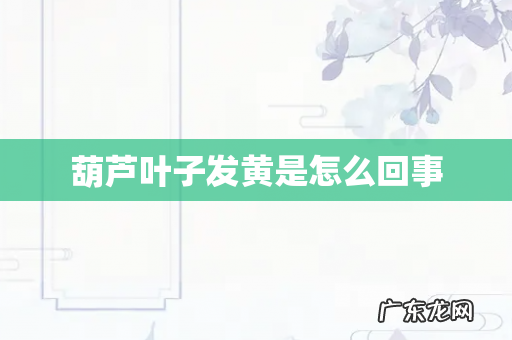 葫芦叶子发黄是怎么回事