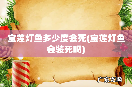 宝莲灯鱼会装死吗 宝莲灯鱼多少度会死