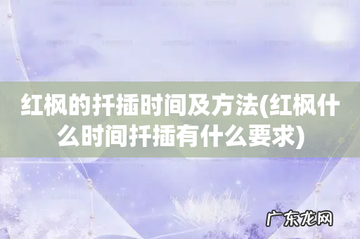 红枫什么时间扦插有什么要求 红枫的扦插时间及方法