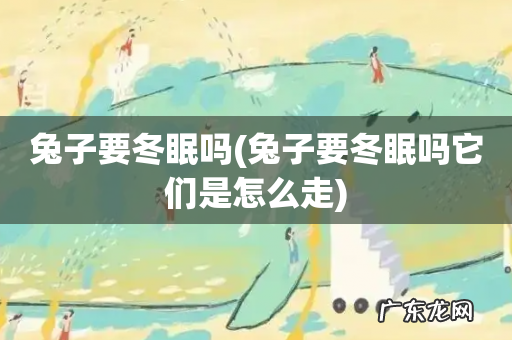 兔子要冬眠吗它们是怎么走 兔子要冬眠吗