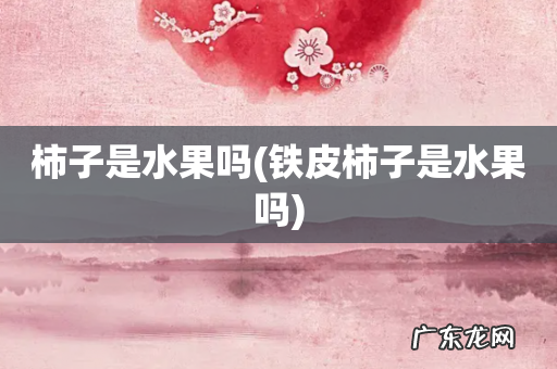 铁皮柿子是水果吗 柿子是水果吗