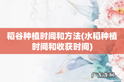 水稻种植时间和收获时间 稻谷种植时间和方法