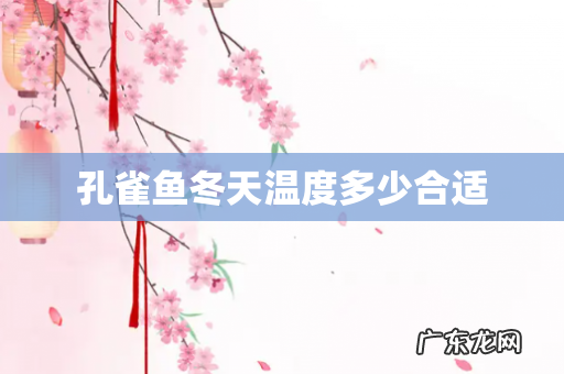 孔雀鱼冬天温度多少合适