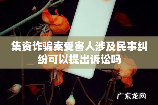 集资诈骗案受害人涉及民事纠纷可以提出诉讼吗