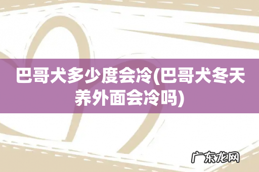 巴哥犬冬天养外面会冷吗 巴哥犬多少度会冷