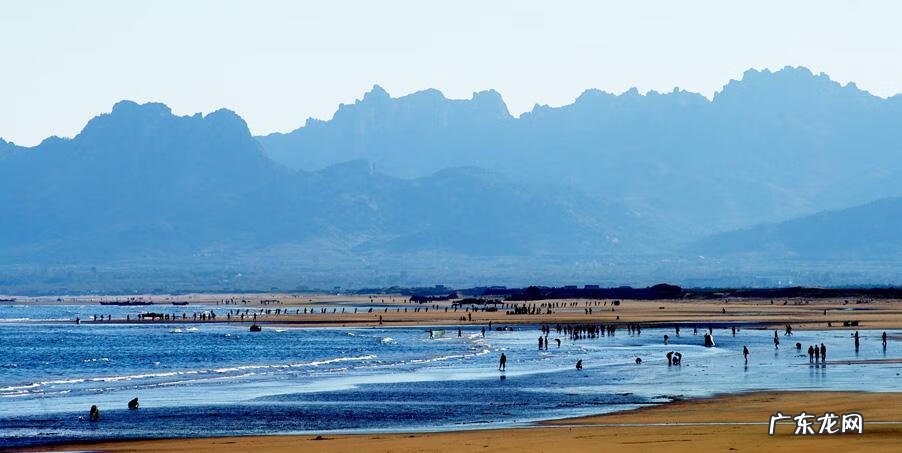 西游大冒险 梦幻西游快乐大冒险 安卓