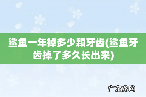 鲨鱼牙齿掉了多久长出来 鲨鱼一年掉多少颗牙齿