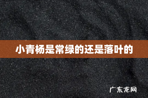 小青杨是常绿的还是落叶的