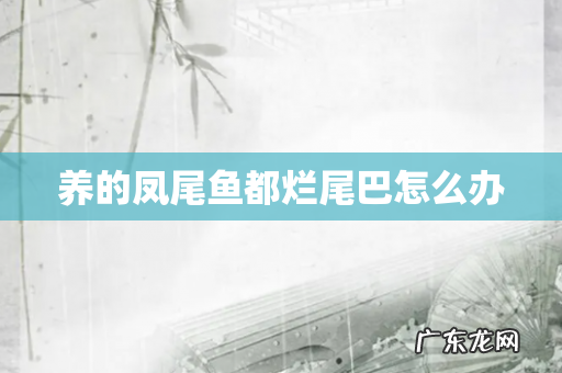 养的凤尾鱼都烂尾巴怎么办