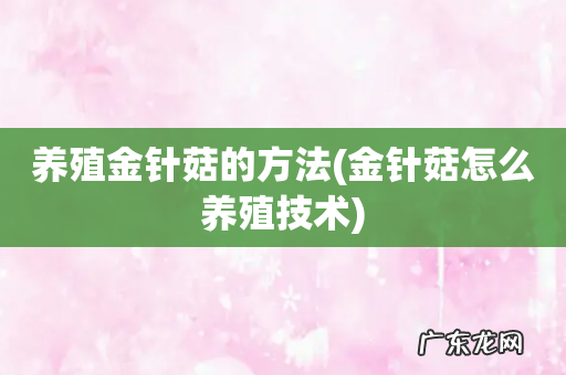 金针菇怎么养殖技术 养殖金针菇的方法