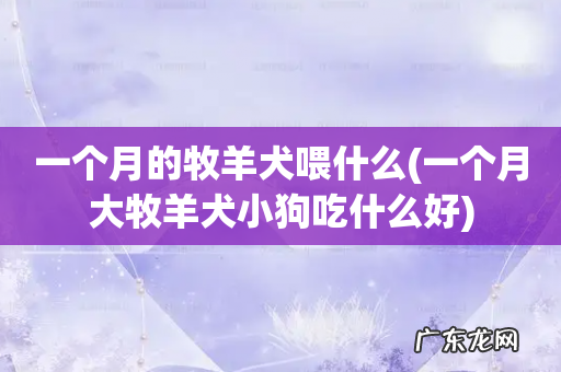 一个月大牧羊犬小狗吃什么好 一个月的牧羊犬喂什么