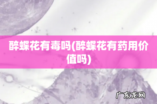 醉蝶花有药用价值吗 醉蝶花有毒吗