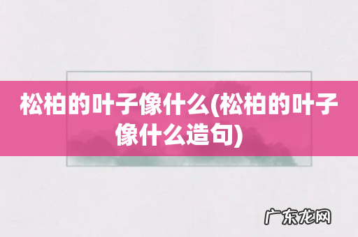 松柏的叶子像什么造句 松柏的叶子像什么