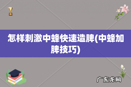 中蜂加脾技巧 怎样刺激中蜂快速造脾