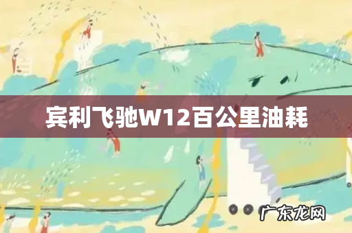 宾利飞驰W12百公里油耗