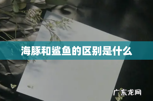 海豚和鲨鱼的区别是什么