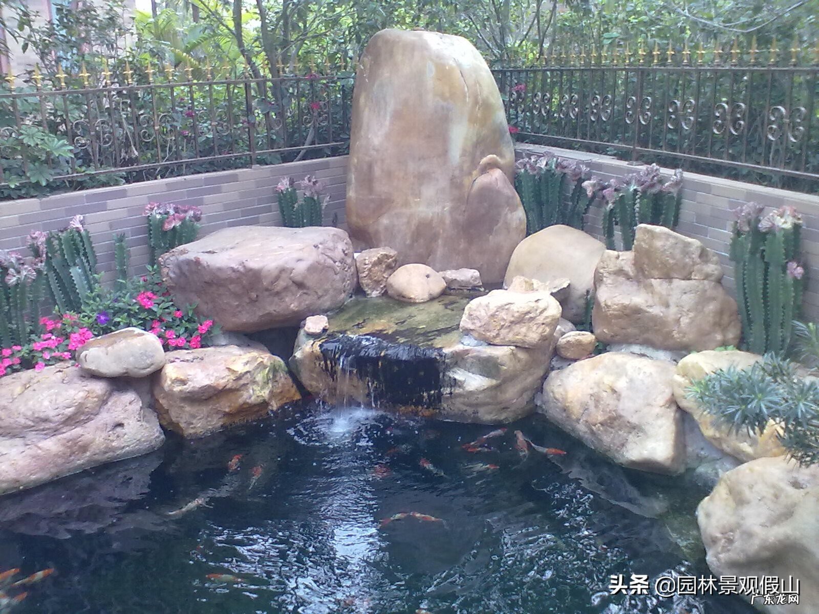 热带生鱼池最佳的深度 风水学鱼池位置