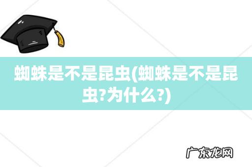 蜘蛛是不是昆虫?为什么? 蜘蛛是不是昆虫