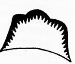 金牛专车风水出什么样的人 金牛地风水什么意思