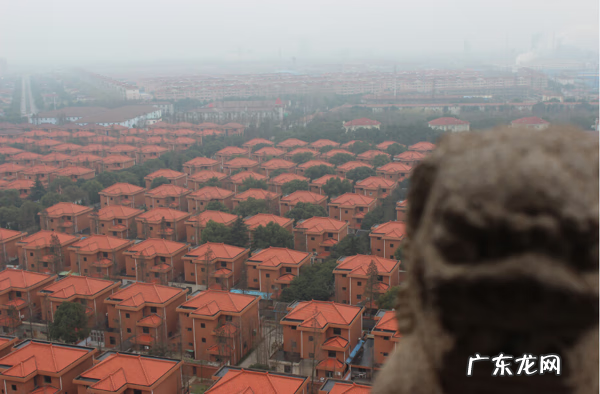 金牛专车风水出什么样的人 金牛地风水什么意思