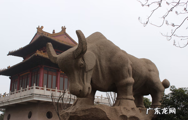 金牛专车风水出什么样的人 金牛地风水什么意思