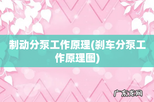 刹车分泵工作原理图 制动分泵工作原理