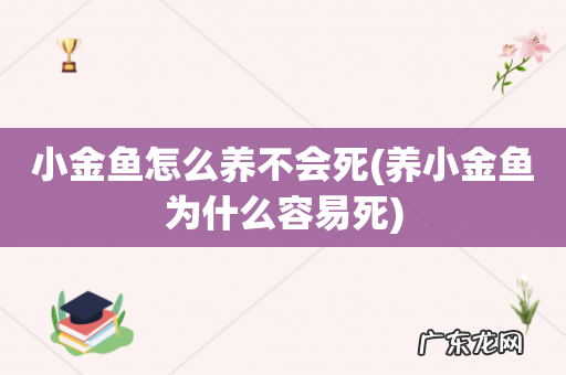 养小金鱼为什么容易死 小金鱼怎么养不会死