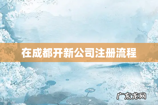 在成都开新公司注册流程