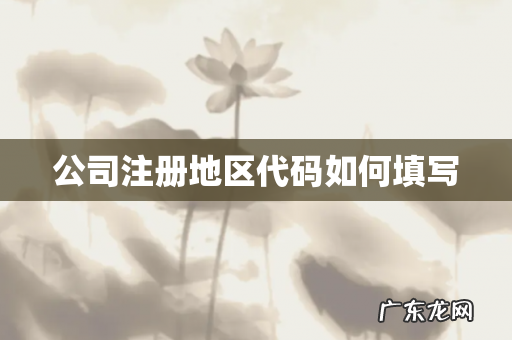 公司注册地区代码如何填写