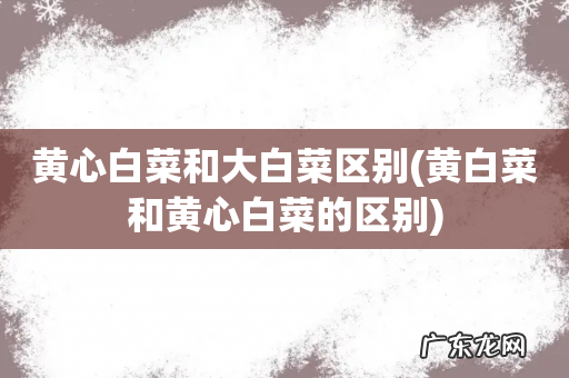 黄白菜和黄心白菜的区别 黄心白菜和大白菜区别