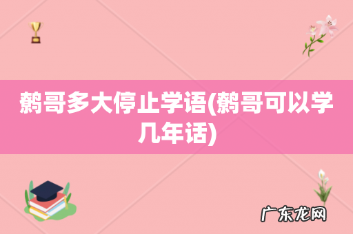 鹩哥可以学几年话 鹩哥多大停止学语