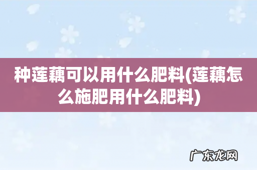 莲藕怎么施肥用什么肥料 种莲藕可以用什么肥料