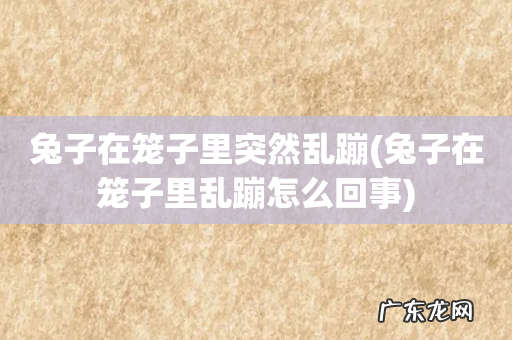 兔子在笼子里乱蹦怎么回事 兔子在笼子里突然乱蹦