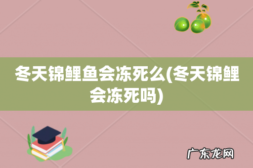 冬天锦鲤会冻死吗 冬天锦鲤鱼会冻死么