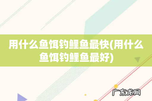 用什么鱼饵钓鲤鱼最好 用什么鱼饵钓鲤鱼最快