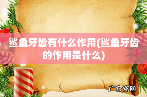 鲨鱼牙齿的作用是什么 鲨鱼牙齿有什么作用